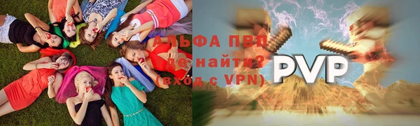гашик Бородино