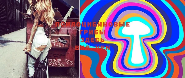 дмт Бронницы