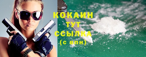 гашик Бородино
